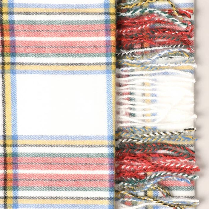 Cashmere_Feel_Plaid_Pattern_Scarf_-_Fringed_Edges2_ella_where_she_shops