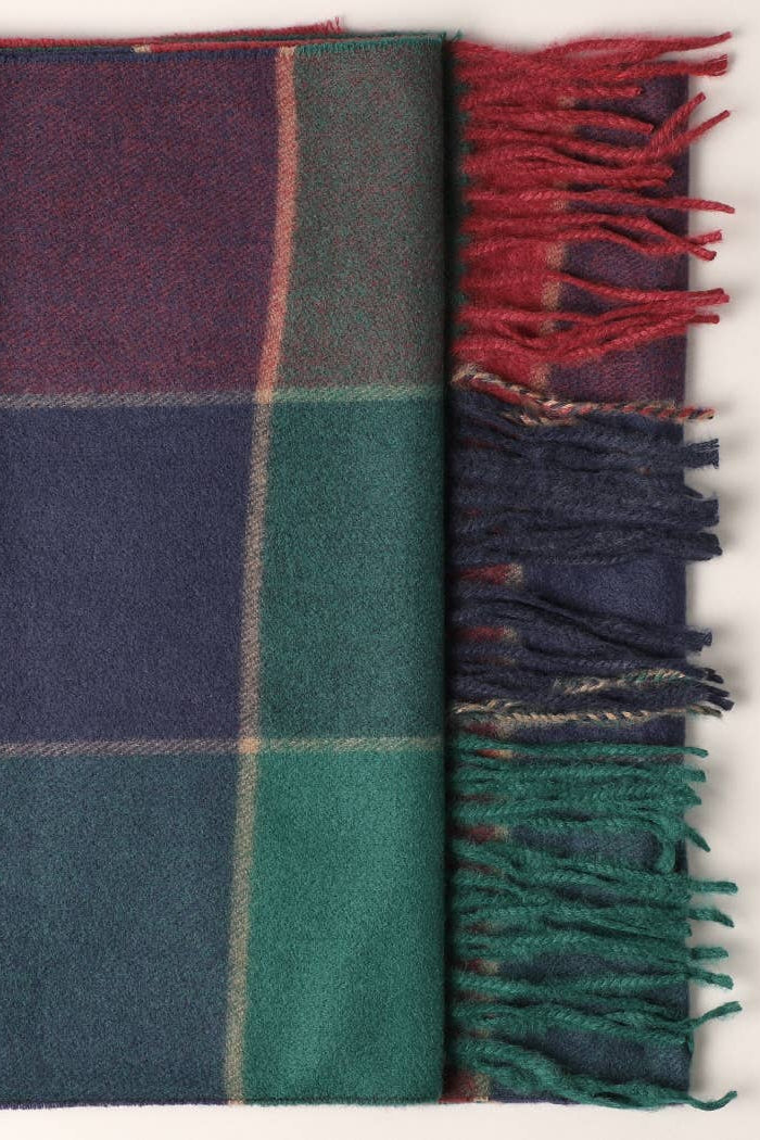 Cashmere_Feel_Plaid_Pattern_Scarf_-_Fringed_Edges_ella_where_she_shops