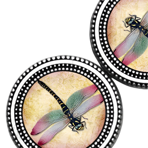 Dragonfly I Image Magnet Button Pin Set - Ella Where She Shops