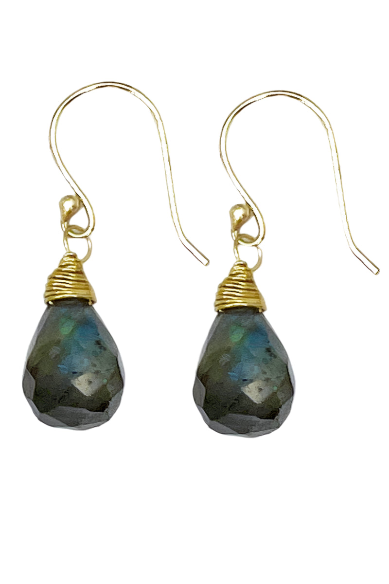 Tear-Drop Semi-Precious Stone Earrings - Style 5 - Ella Where She Shops