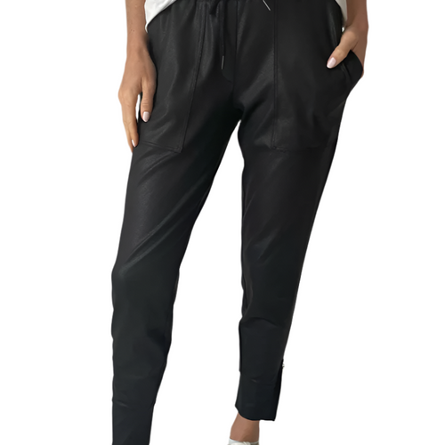 Six Fifty Clothing Coated Zip Jogger in Black – Ella Where She Shops