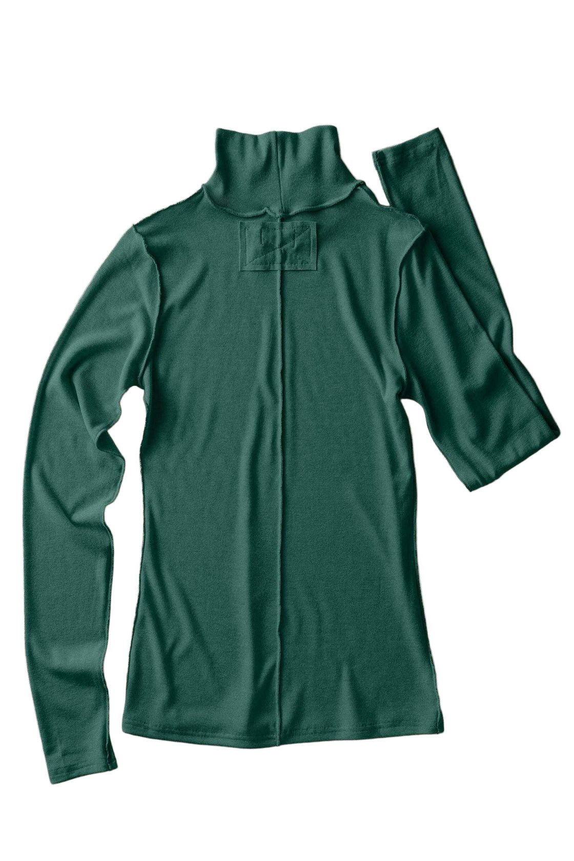 Contrast_Seam_Turtleneck_ella_where_she_shops