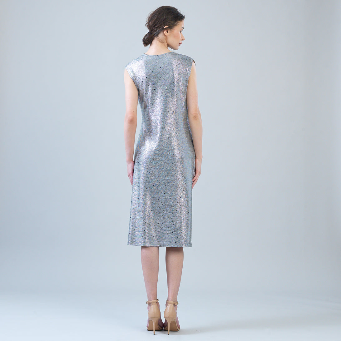 Back view of the Clara Sunwoo silver shimmer dots midi dress