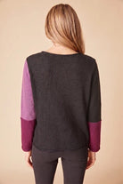 Back view of the Habitat Yin Yang Block Party Sweater in Plum, black body with lilac and plum color-block sleeves